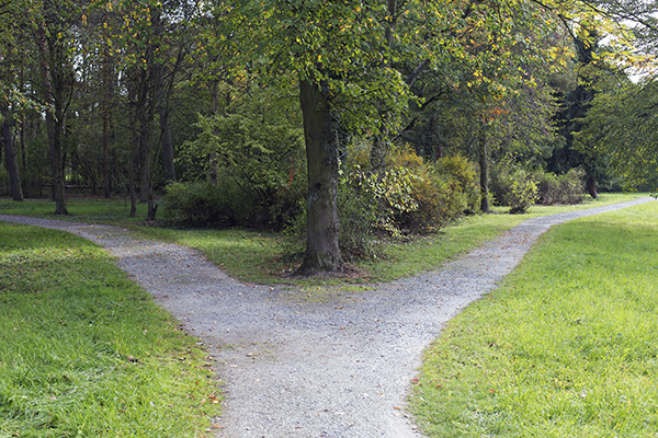 Photo d'un carrefour de deux routes dans un jardin